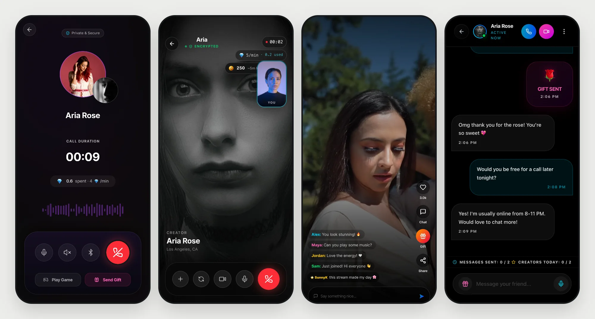 The voice call design, a video call, the live stream design and chat